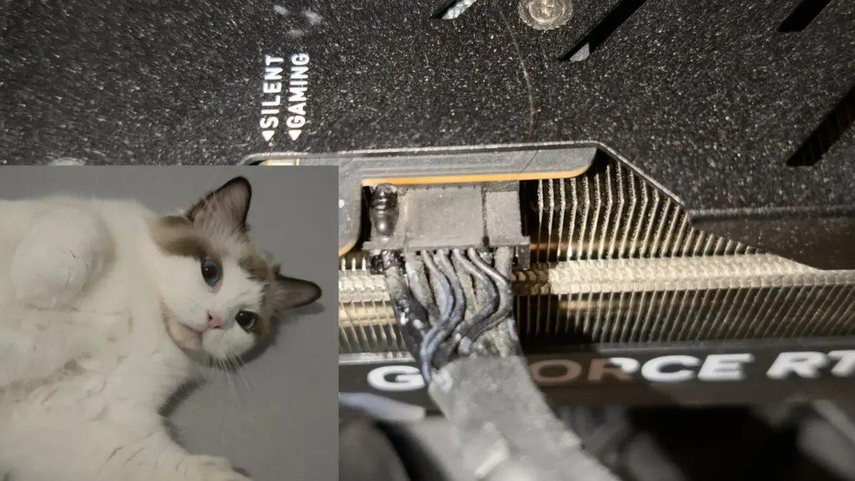 RTX 4090が燃え始めた。飼い主を救ったのはハードウェア監視ではなく「猫」だった