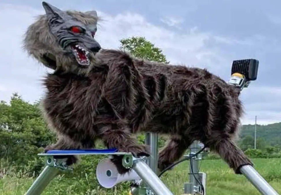 クマ撃退ロボ「モンスターウルフ」注文3倍、町工場が手作り
