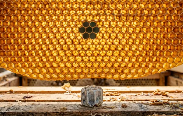 GitHubの内部コードが3,800件流出、入口は拡張機能1本だった